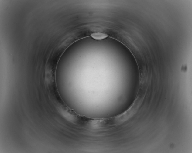 X0000101650136200807101240