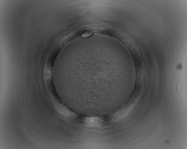 X0000101650137200807101240