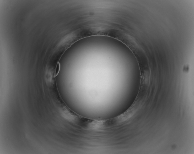 X0000101650138200807101240