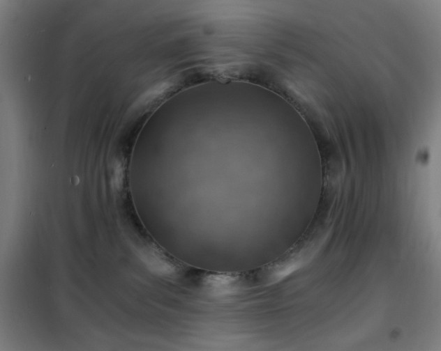 X0000101650139200807101240