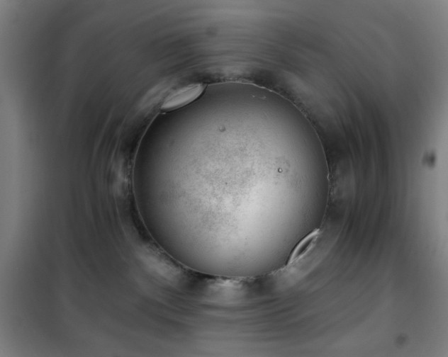 X0000101650140200807101240