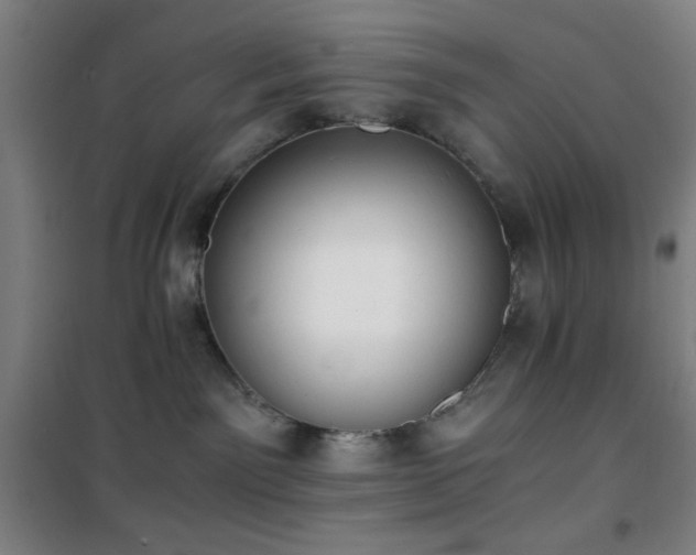 X0000101650141200807101240