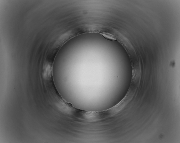 X0000101650142200807101240