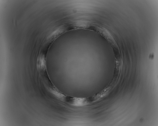 X0000101650143200807101240