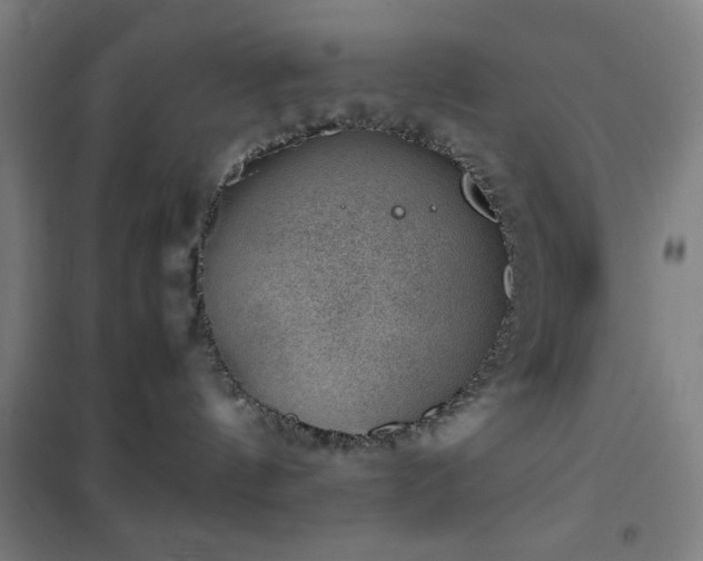 X0000101650144200807101240