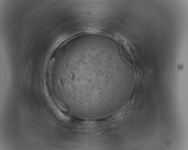 X0000101650145200807101239