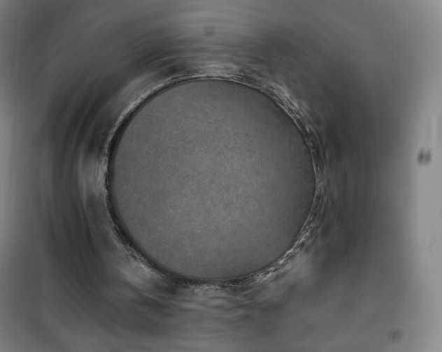 X0000101650146200807101239