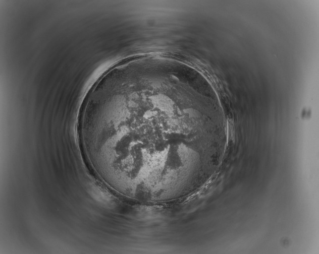 X0000101650147200807101239