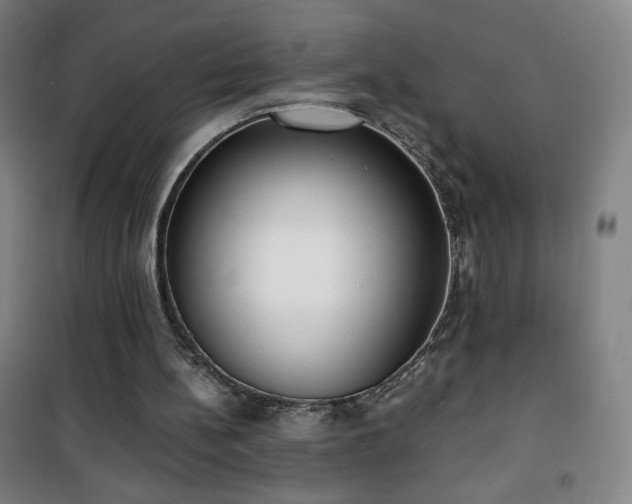 X0000101650148200807101239