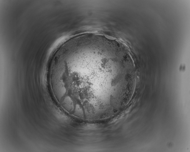 X0000101650149200807101239