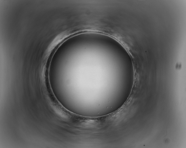 X0000101650151200807101239