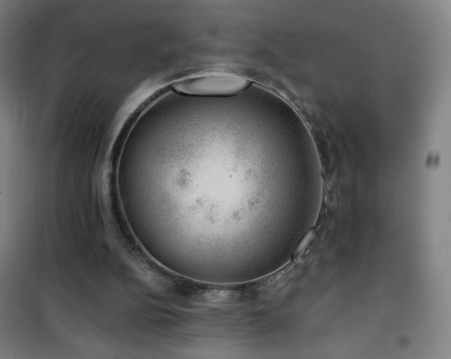 X0000101650152200807101239