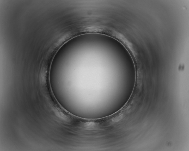 X0000101650153200807101239