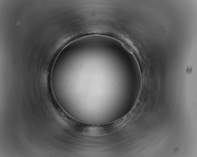 X0000101650154200807101239