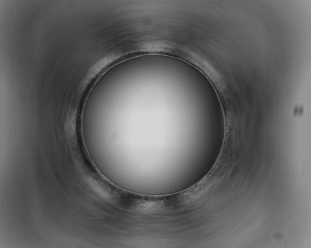 X0000101650155200807101239