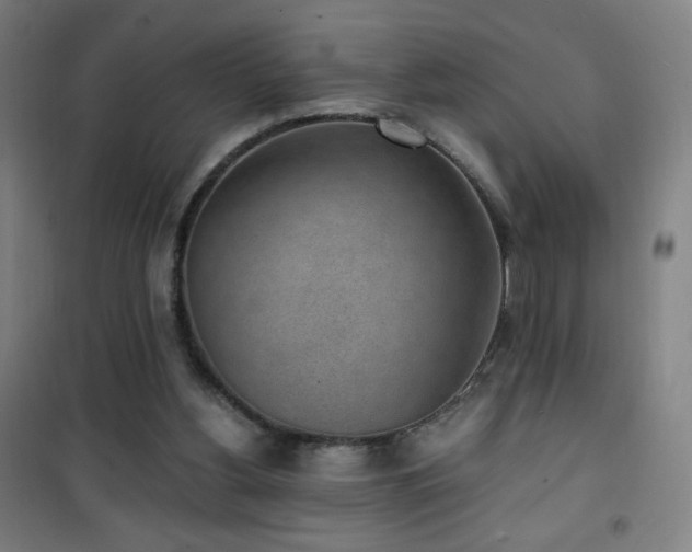 X0000101650156200807101239