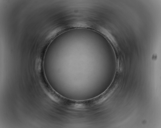 X0000101650157200807101239