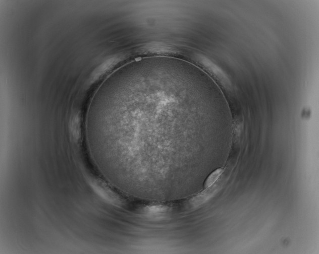 X0000101650158200807101239