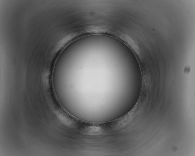 X0000101650159200807101239