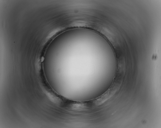 X0000101650160200807101239