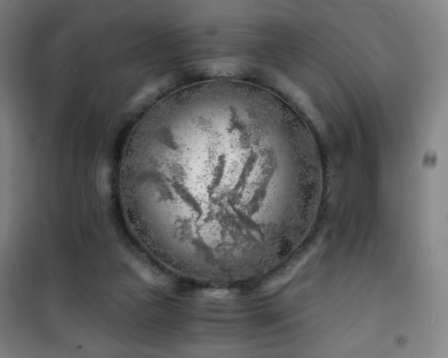 X0000101650161200807101239