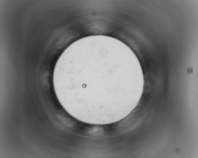 X0000101650162200807101239