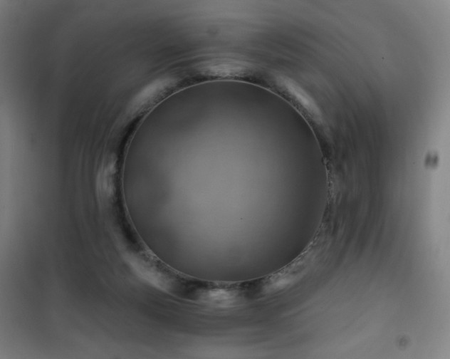 X0000101650163200807101239