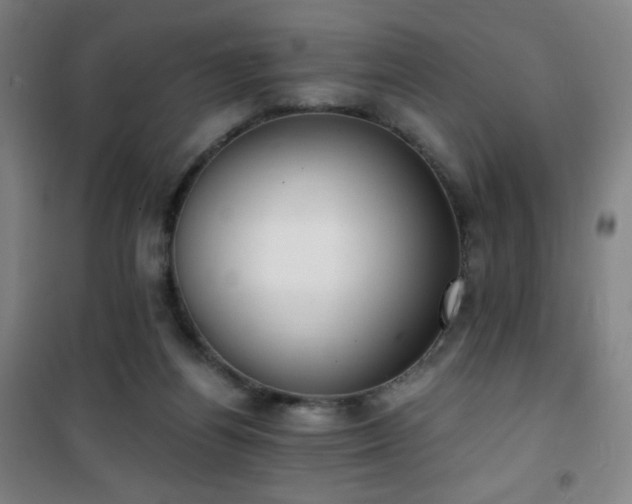 X0000101650164200807101239