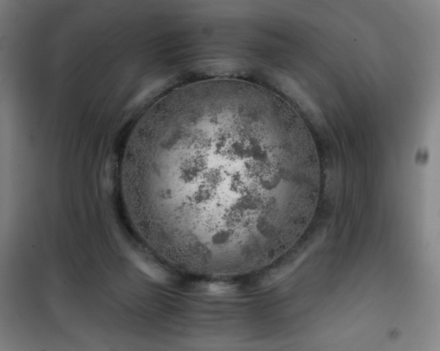 X0000101650165200807101239