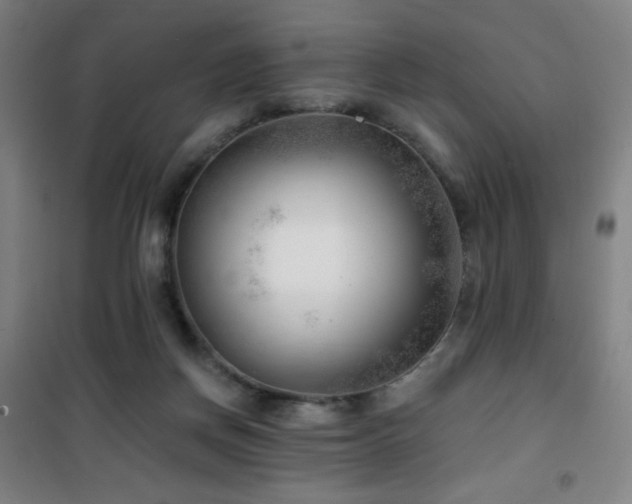 X0000101650166200807101239