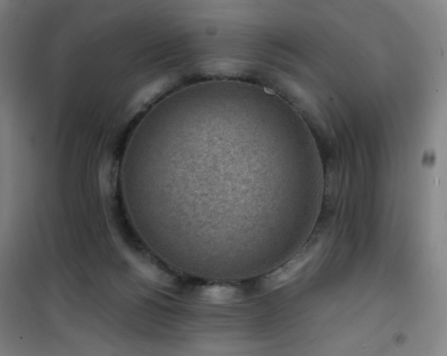 X0000101650168200807101239