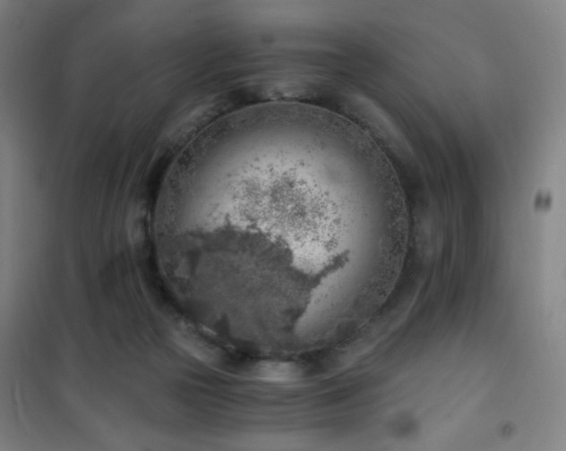 X0000101650169200807101239