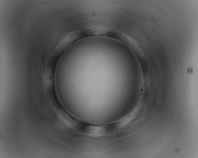 X0000101650170200807101240