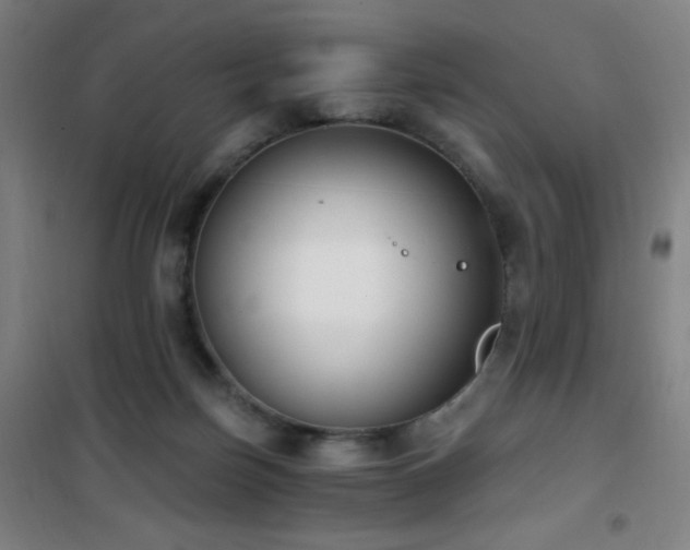 X0000101650171200807101240