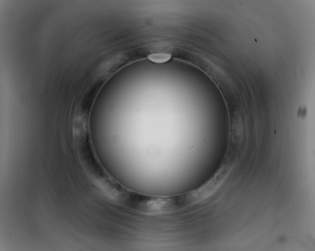 X0000101650172200807101240