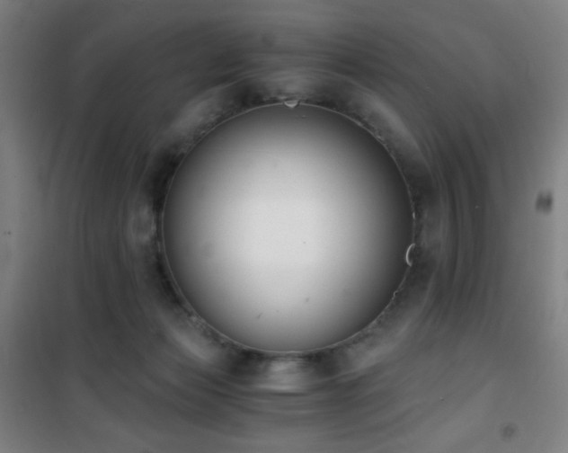 X0000101650173200807101240