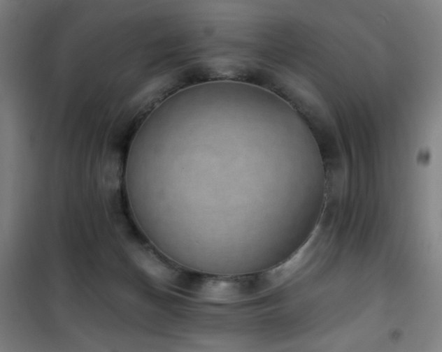 X0000101650174200807101240