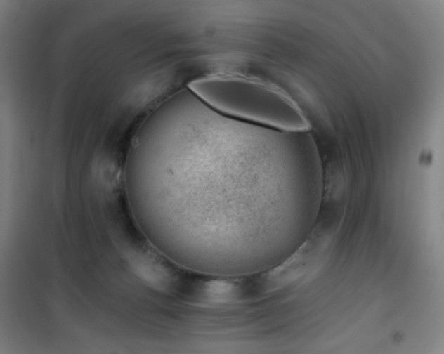 X0000101650176200807101240