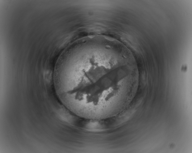 X0000101650177200807101240