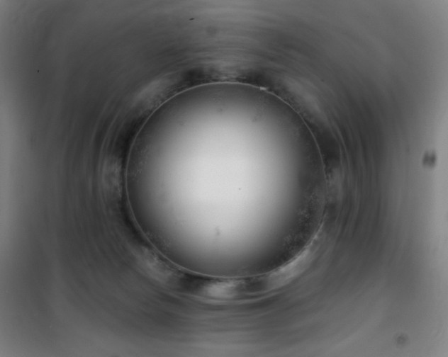 X0000101650178200807101240