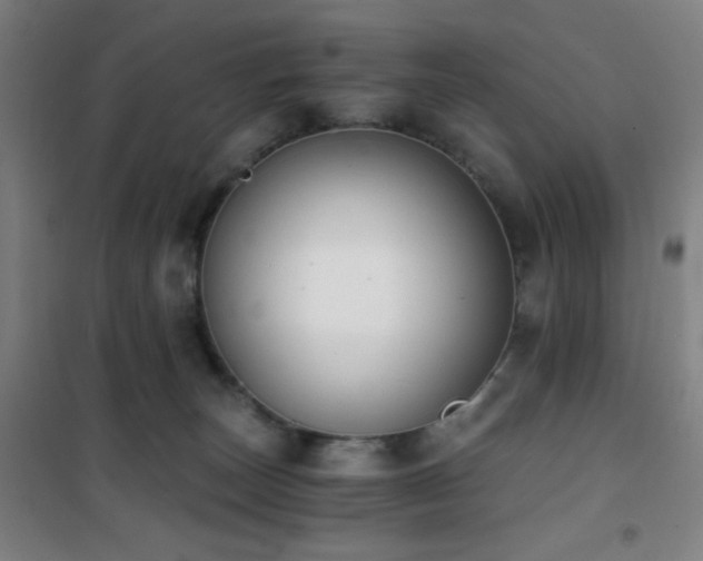 X0000101650179200807101240