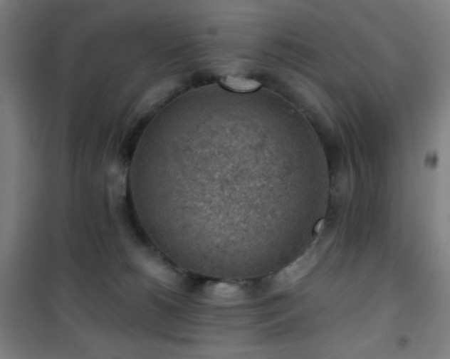 X0000101650180200807101240