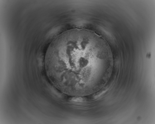 X0000101650181200807101240