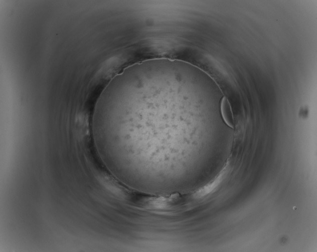 X0000101650182200807101240