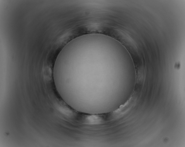 X0000101650183200807101240