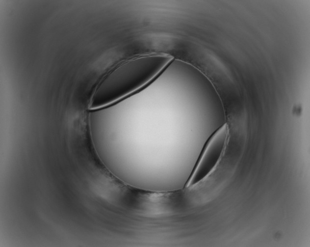 X0000101650184200807101240