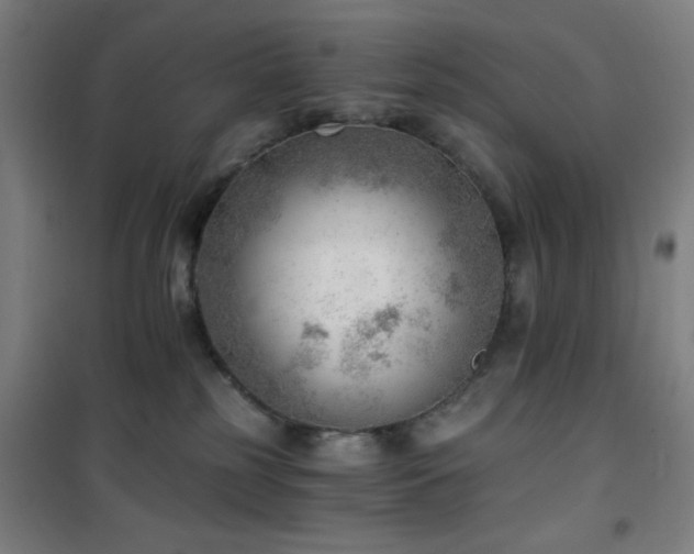 X0000101650185200807101240