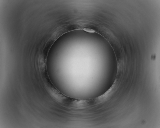 X0000101650186200807101240