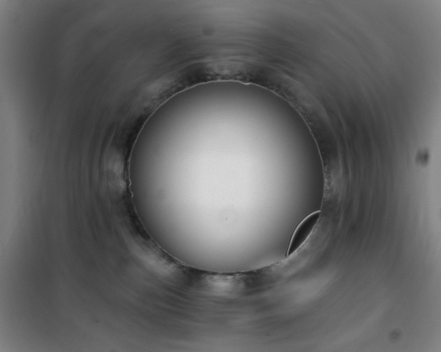 X0000101650187200807101240