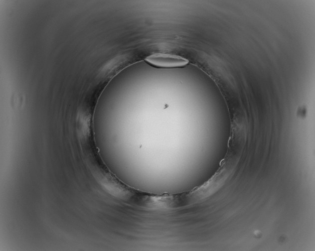 X0000101650188200807101240